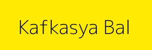 Kafkasya Bal